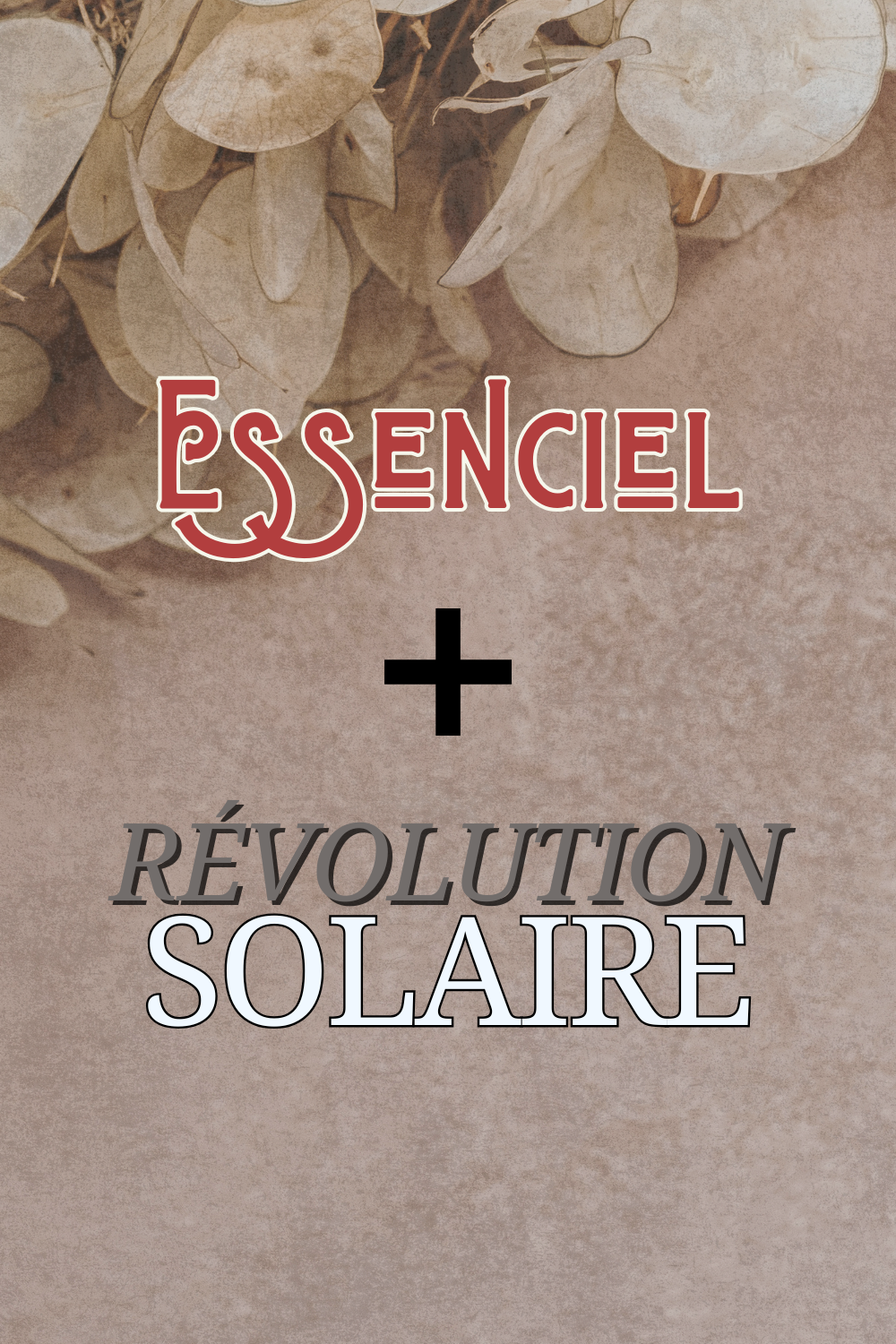 Thème Natal + Révolution Solaire